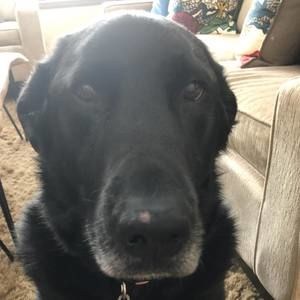 Meet your Posher, Tish